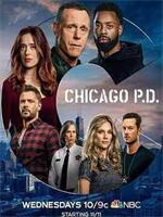 芝加哥警署第八季在线观看