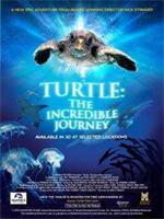 海龟神奇之旅在线观看