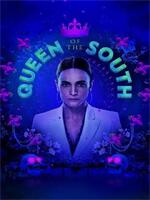 南方女王第五季在线观看