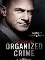 法律与秩序：组织犯罪第一季在线观看