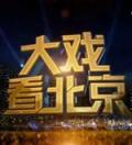大戏看北京2013