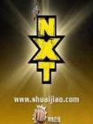 美国摔跤比赛NXT2013在线观看