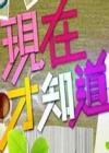 现在才知道2013