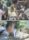 宠物当家之旅2014在线观看