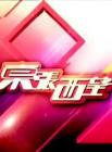东张西望2014在线观看