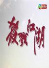 江湖狂澜在线观看