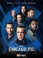 芝加哥警署第九季在线观看
